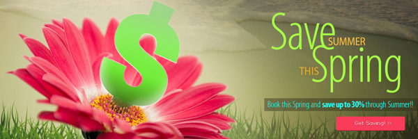spring savings web banner ad